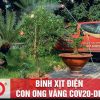 Máy phun thuốc trừ sâu, côn trùng điện Con Ong Vàng COV20-DP-ắc qui