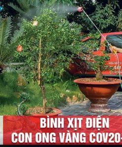 Máy phun thuốc trừ sâu, côn trùng điện Con Ong Vàng COV20-DP-ắc qui