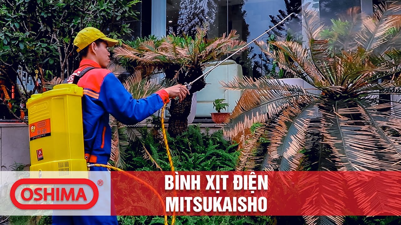 maxresdefault-26 Máy phun thuốc trừ sâu, côn trùng điện Mitsukaisho 20D-ắc qui Vàng